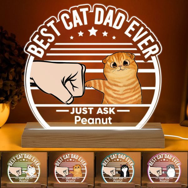 Best Cat Dad Ever Fluffy Cat Personalized Custom Shape LED Night Light on Sale